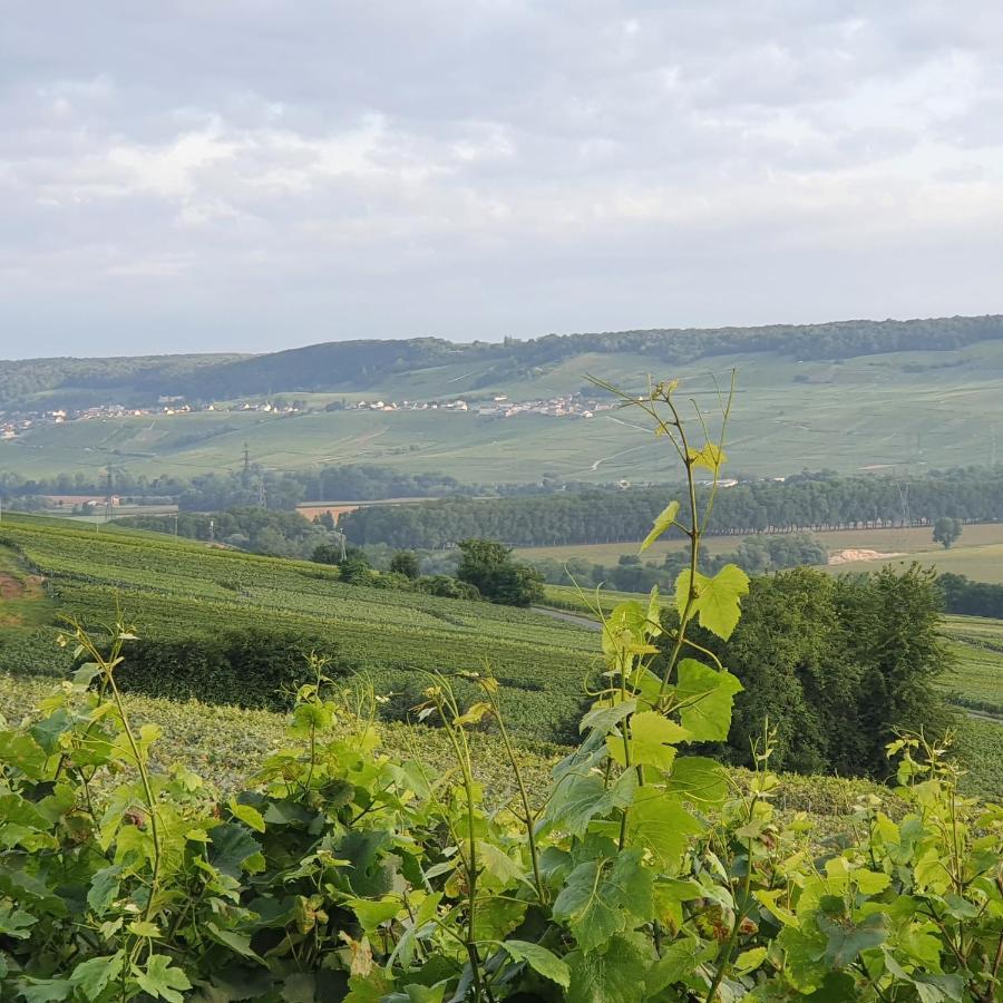 Chambres La Fabiere Vauciennes -Epernay Zewnętrze zdjęcie