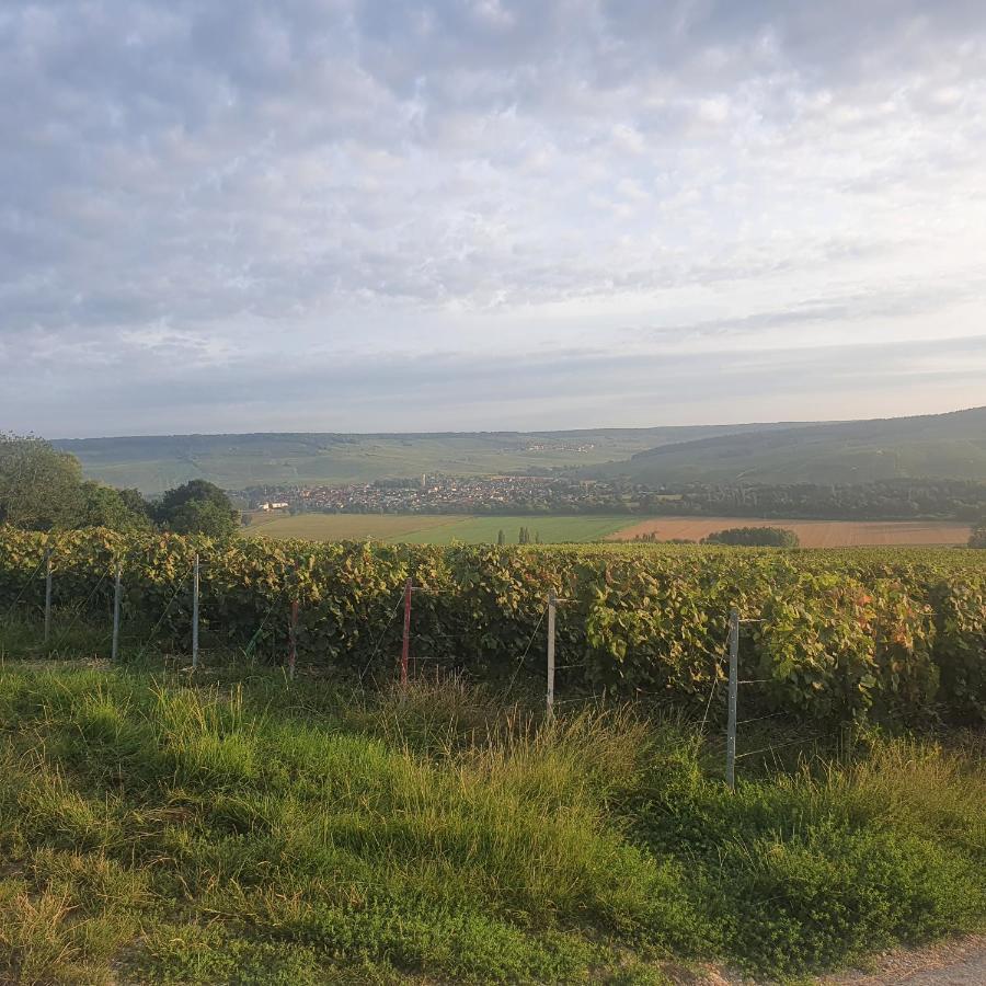 Chambres La Fabiere Vauciennes -Epernay Zewnętrze zdjęcie